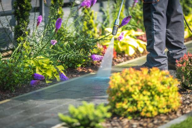 Best Winterizing Services  in Piedmont, OK